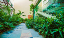outdoor_2